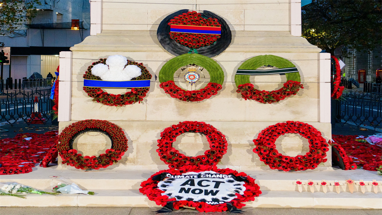 Protesters who damage poppy wreaths face prison under new crackdown after sickening scenes at Cenotaph