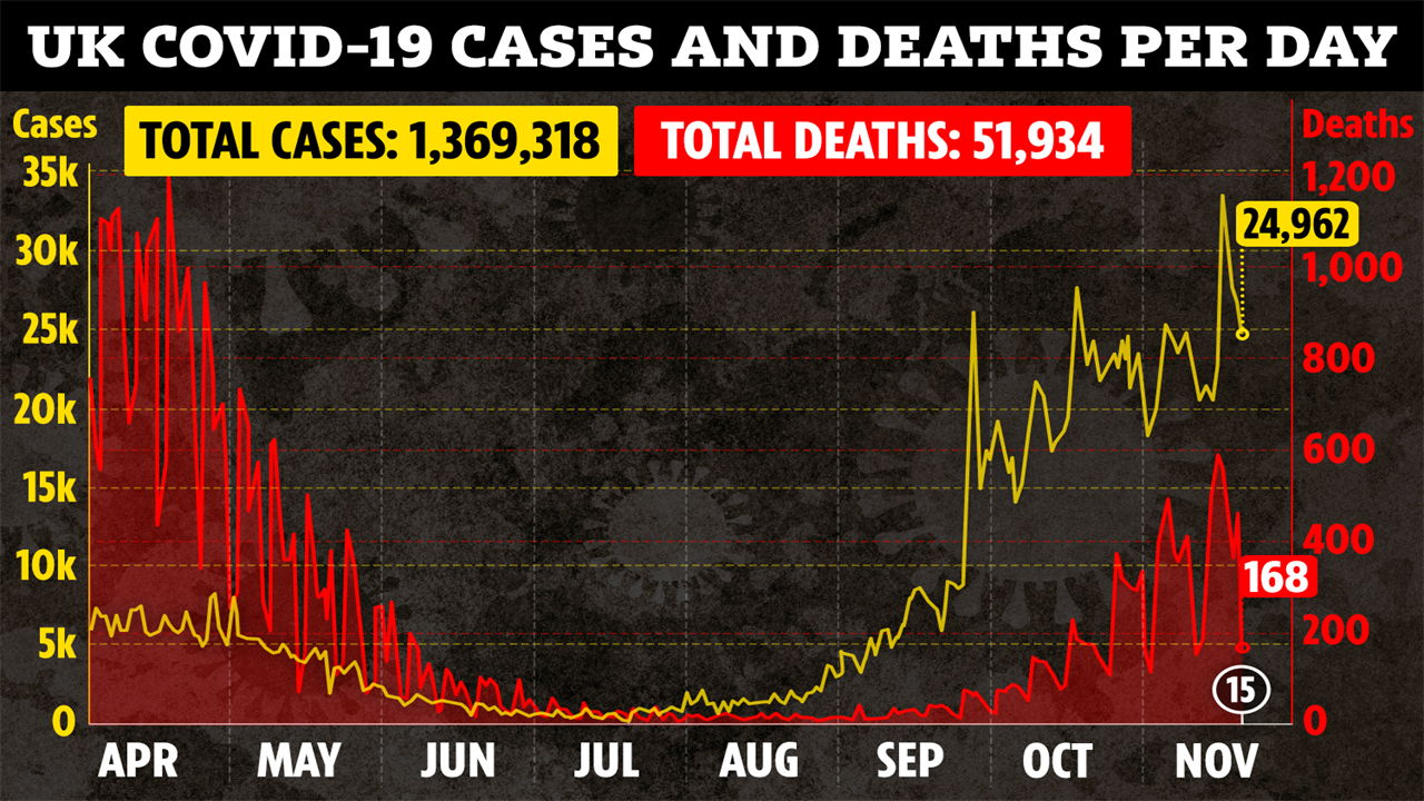 Covid cases flatlined WEEKS ago raising hopes of ‘normal’ Christmas, says Oxford prof