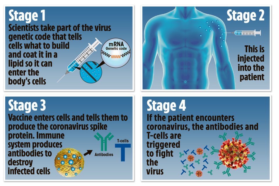 When will the Pfizer Covid vaccine be available?