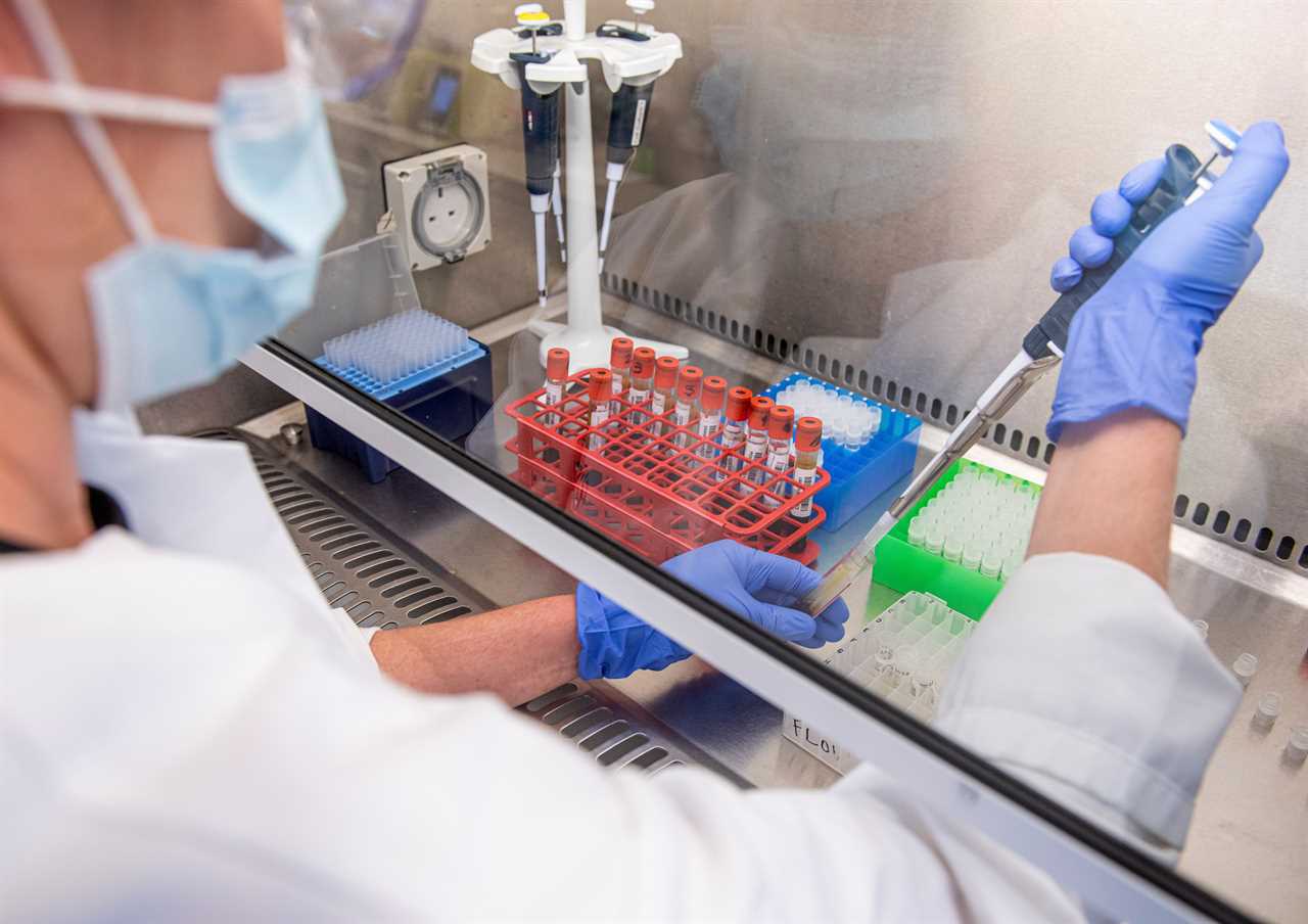 Oxford University’s Covid vaccine ‘triggers antibodies in the elderly’ – raising hopes of third effective jab