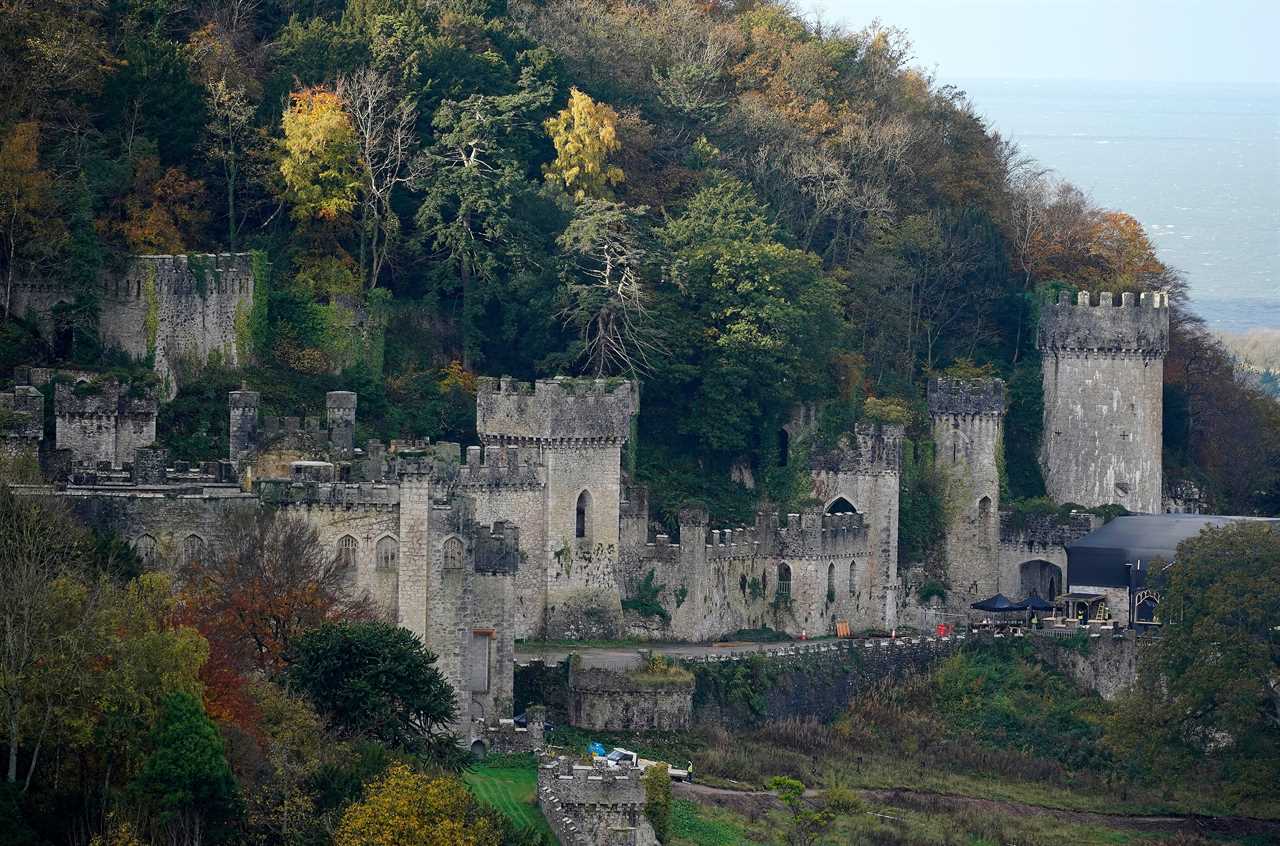 I’m A Celebrity castle’s former glory revealed in historic images from property listing in 1946