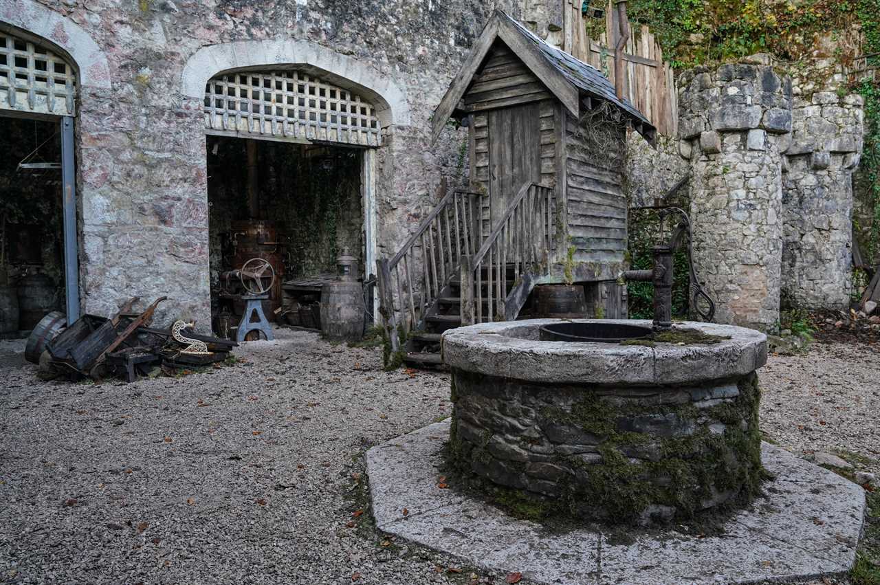 I’m A Celebrity castle’s former glory revealed in historic images from property listing in 1946