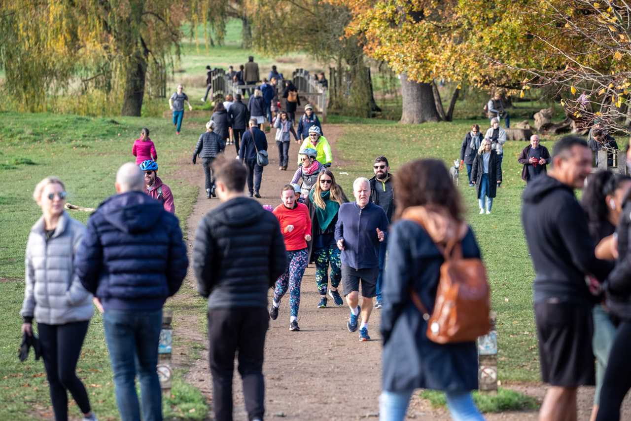 New Covid rules mean families can meet for Christmas —  but pubs must serve meals with booze to stay open