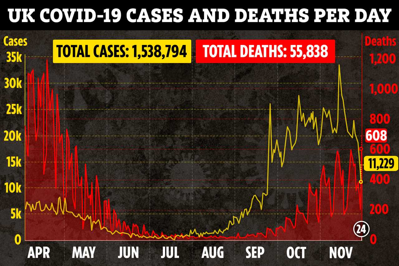 Profiteering PPE sellers hiked prices of body bags and gowns by over 1000% during Covid crisis