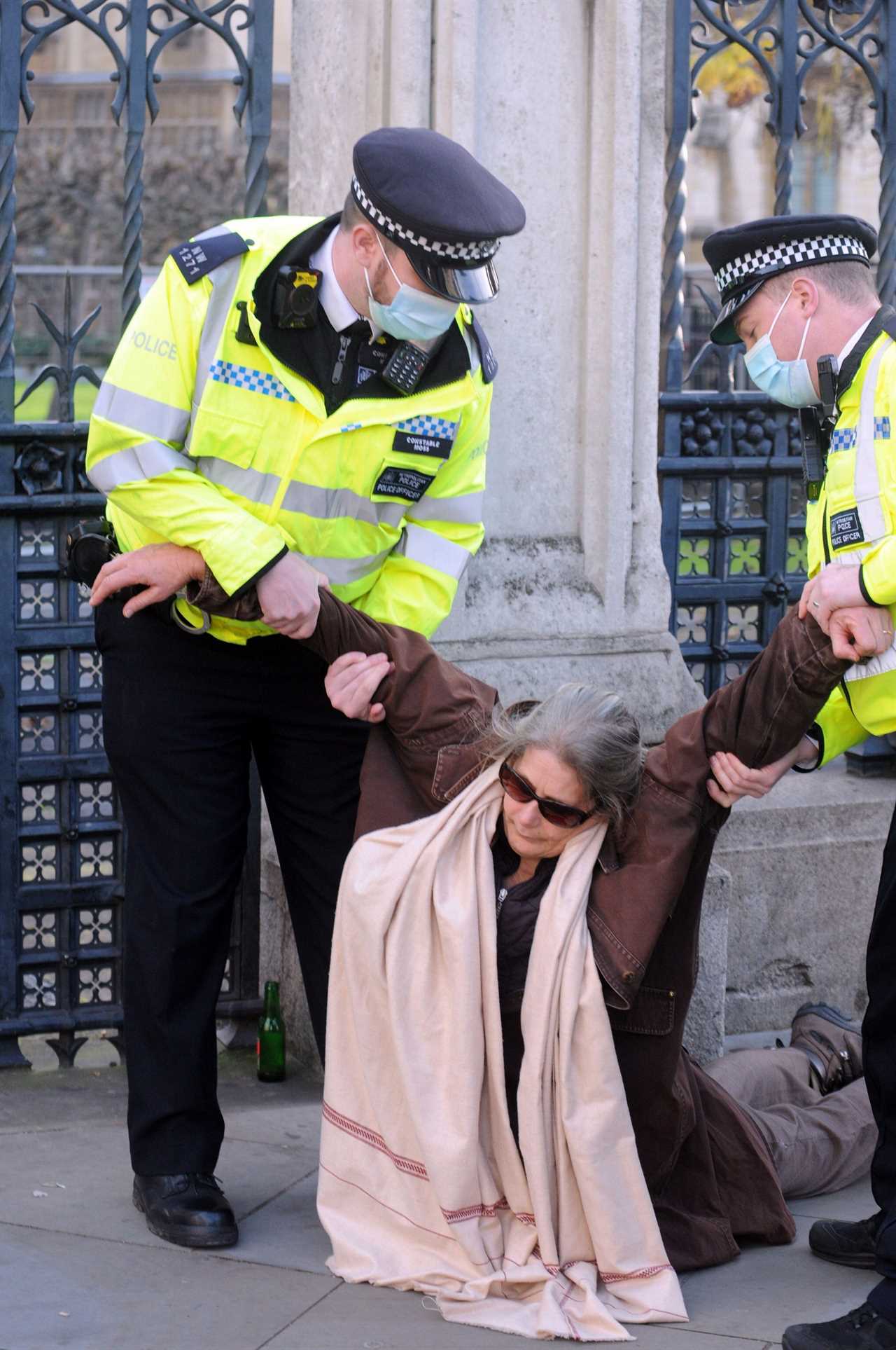 Tory MP rages at ‘disgraceful and un-British’ police after woman, 72, bundled into a van at protest outside Parliament