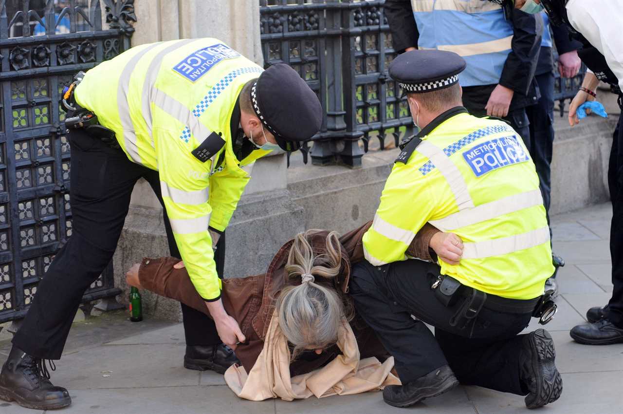 Tory MP rages at ‘disgraceful and un-British’ police after woman, 72, bundled into a van at protest outside Parliament