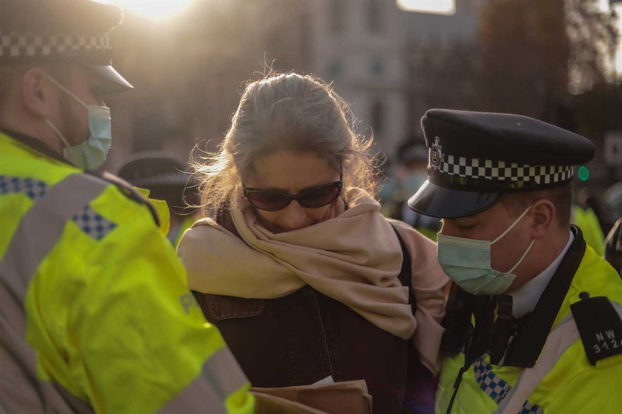 Tory MP rages at ‘disgraceful and un-British’ police after woman, 72, bundled into a van at protest outside Parliament