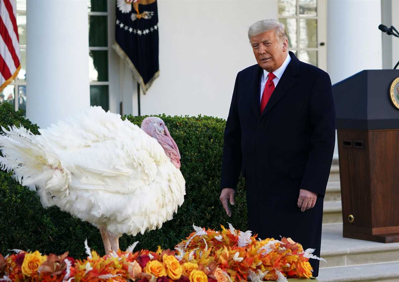 Trump urges Americans to ‘GATHER in homes and places of worship’ despite Thanksgiving superspread worries