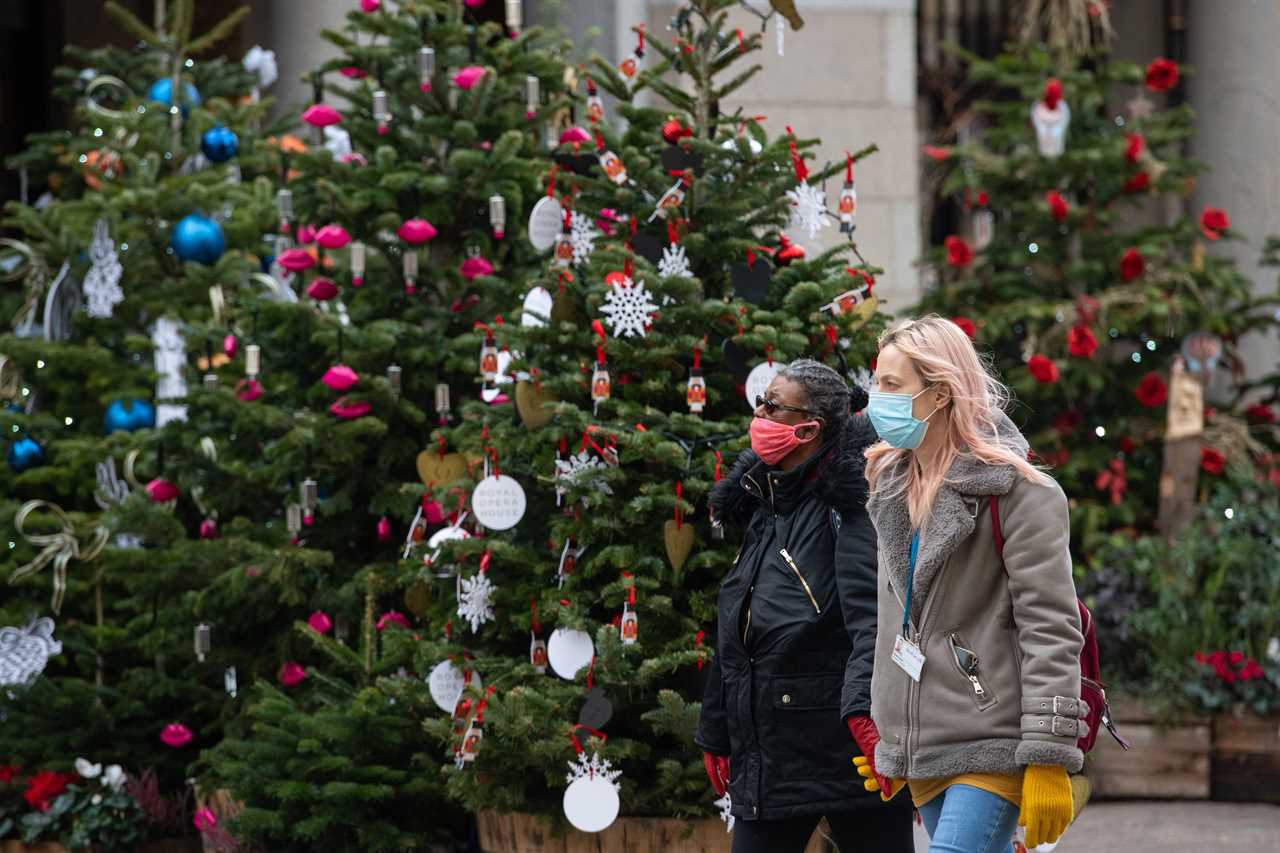 Letting families celebrate at Christmas is good for our mental health, say Sage experts