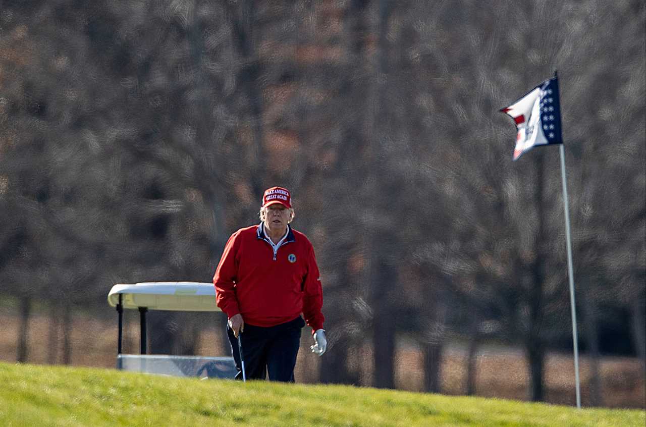 Trump says Covid vaccines being sent ‘in the next WEEK or week after’ to ‘frontline workers and seniors’