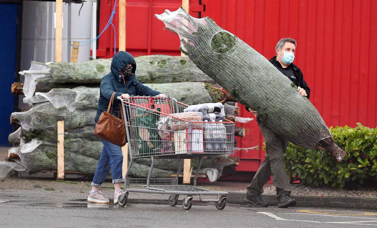 Tier 3 shoppers prepare for Christmas at home by stocking up on tellies, trees and toilet roll ahead of new restrictions