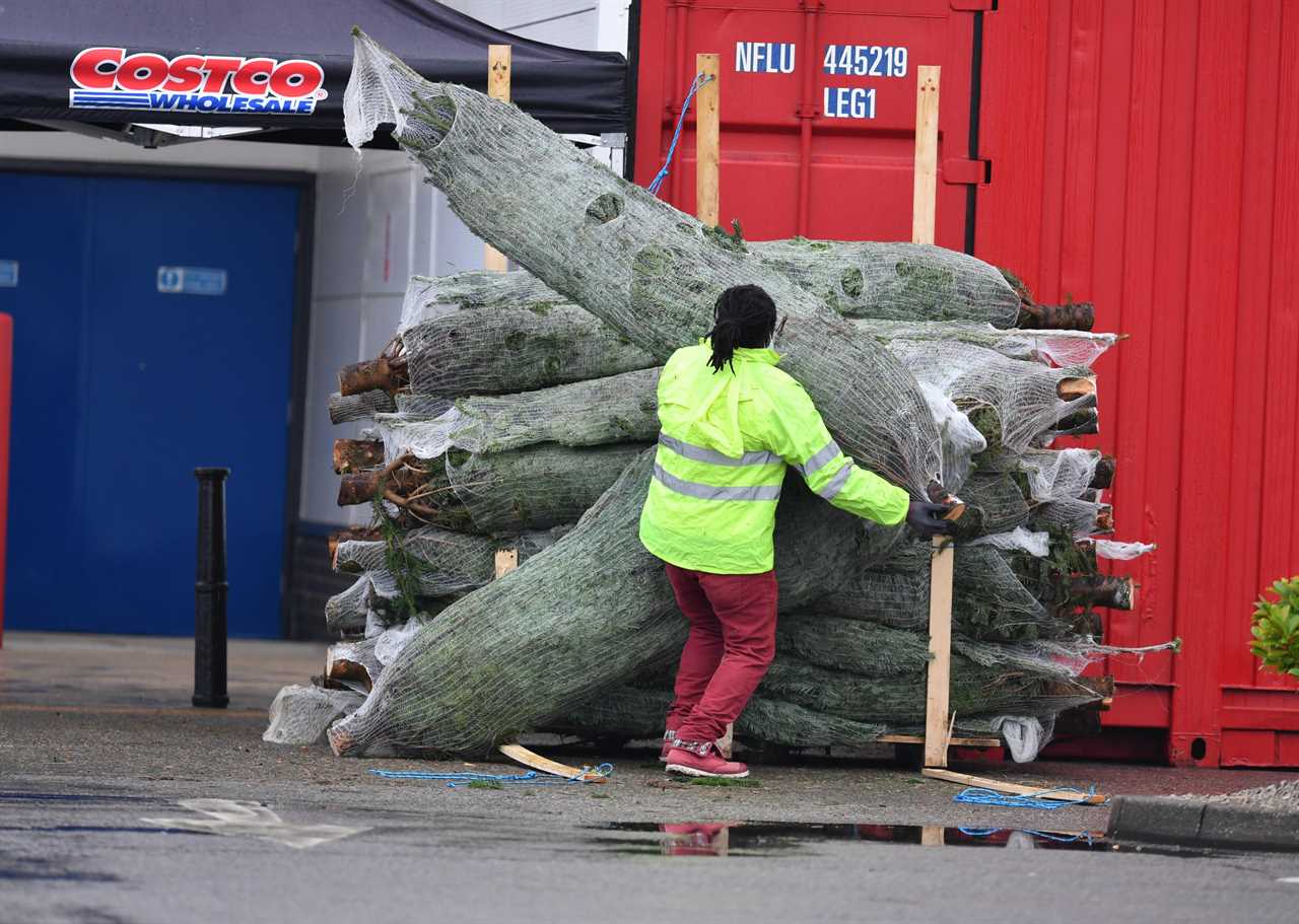 Tier 3 shoppers prepare for Christmas at home by stocking up on tellies, trees and toilet roll ahead of new restrictions