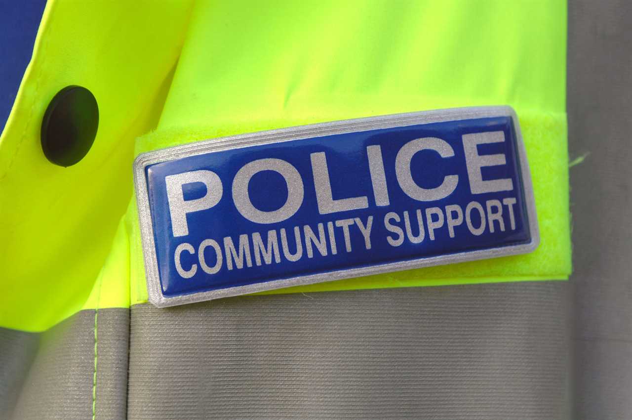 Police intelligence-gathering at risk as PCSO numbers slashed, Labour claims