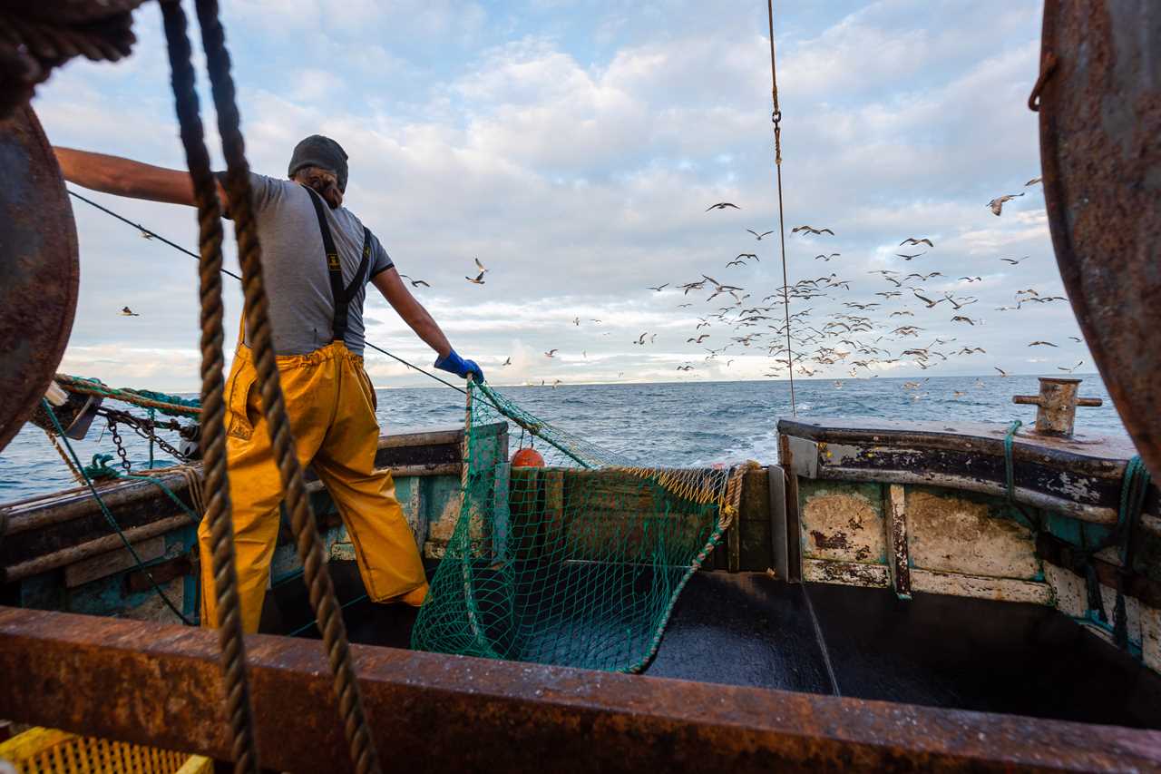 Brussels ordered to rethink fisheries stance and unlock Brexit deadlock