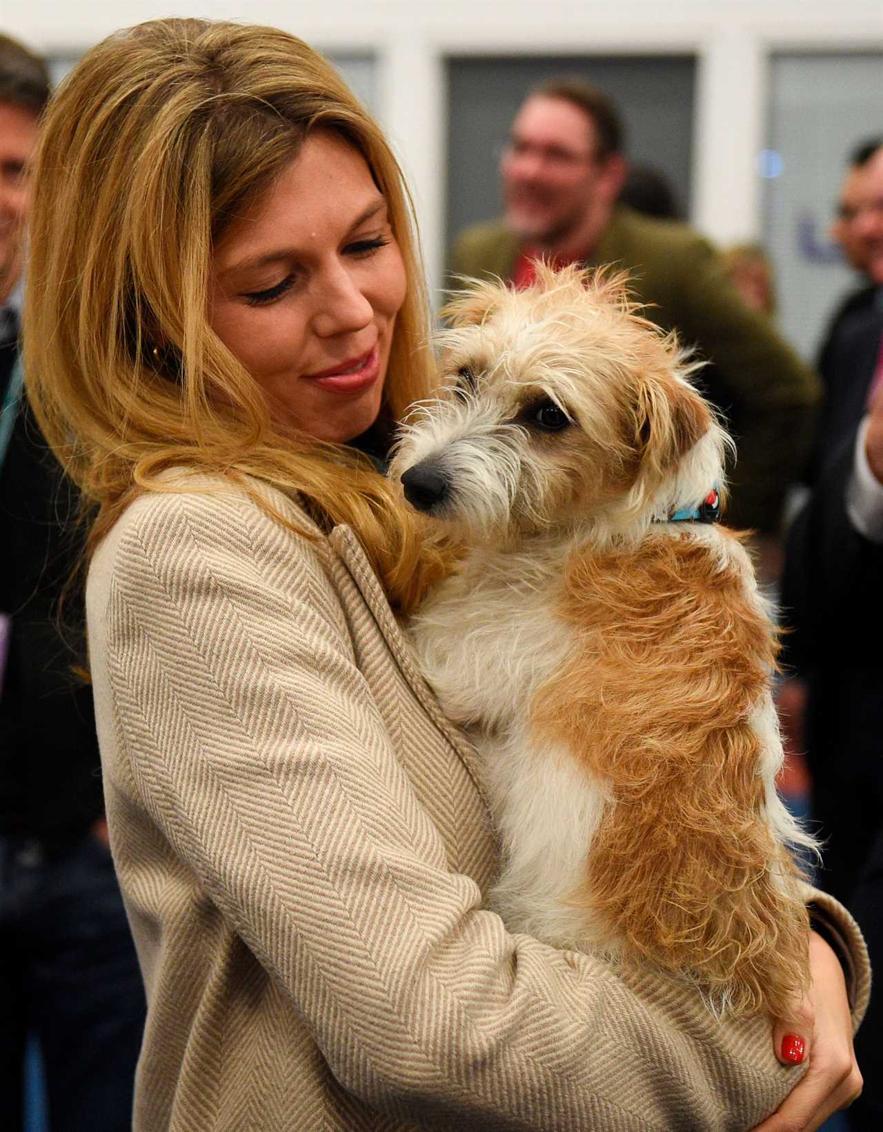 Boris Johnson’s dog Dilyn feared to have caught Covid as virus swept through No10