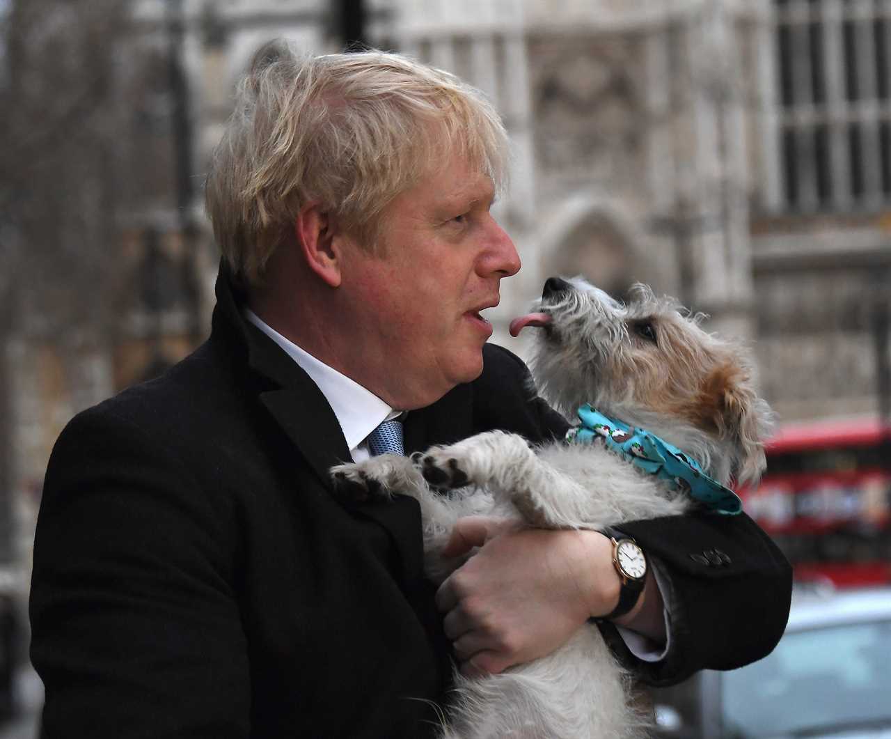 Boris Johnson’s dog Dilyn feared to have caught Covid as virus swept through No10