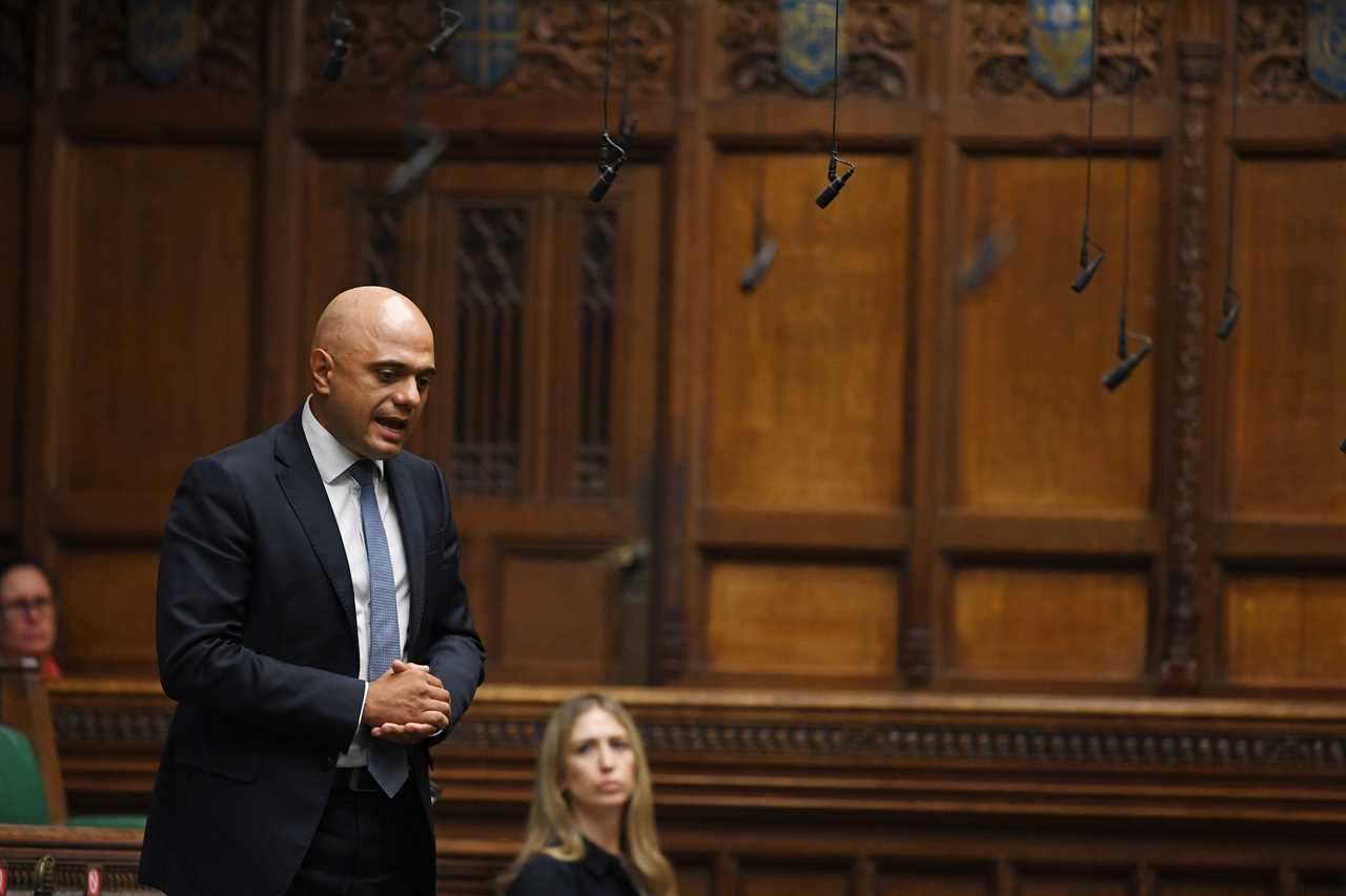 Woke activists are too eager to victim-blame West for Islamist extremism, says Sajid Javid