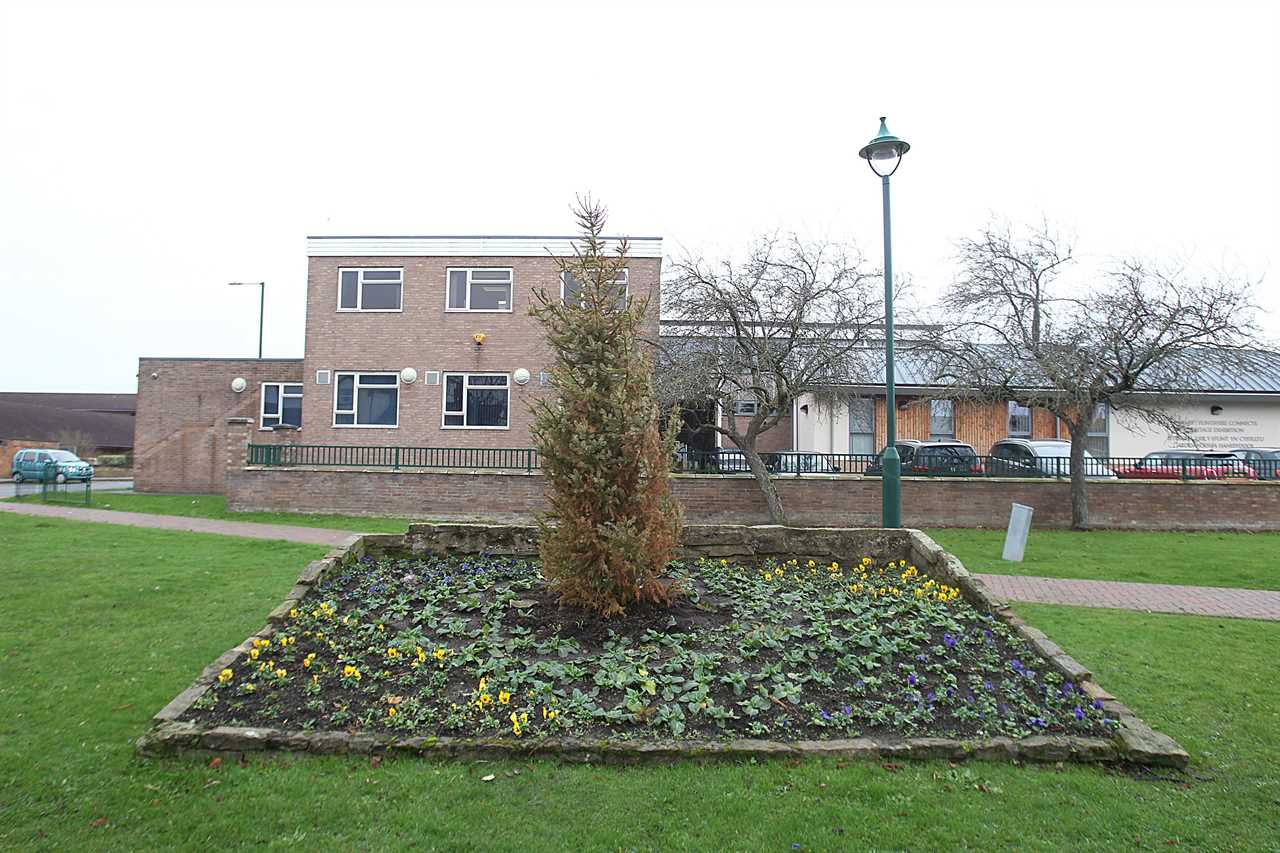 UK’s saddest Xmas tree left turning brown and with no decorations by council