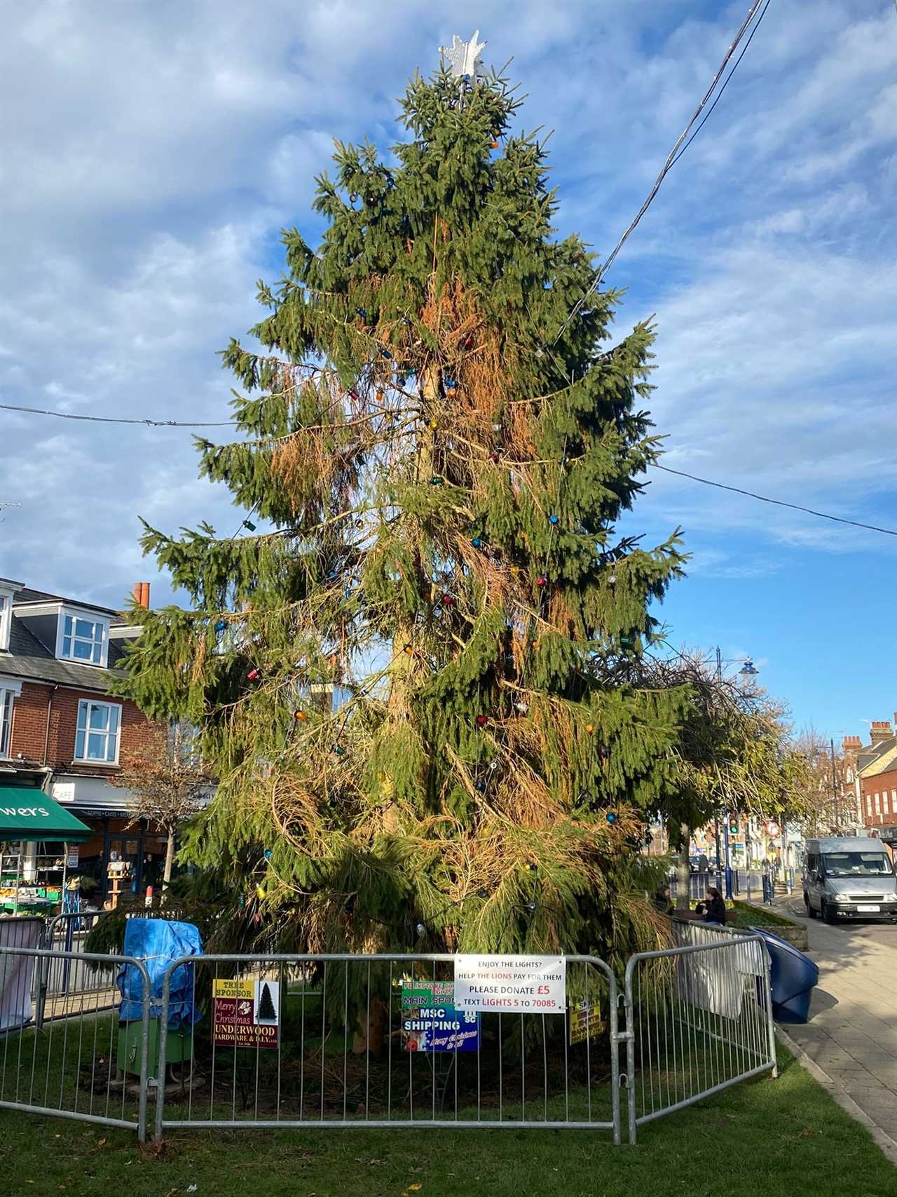 UK’s saddest Xmas tree left turning brown and with no decorations by council