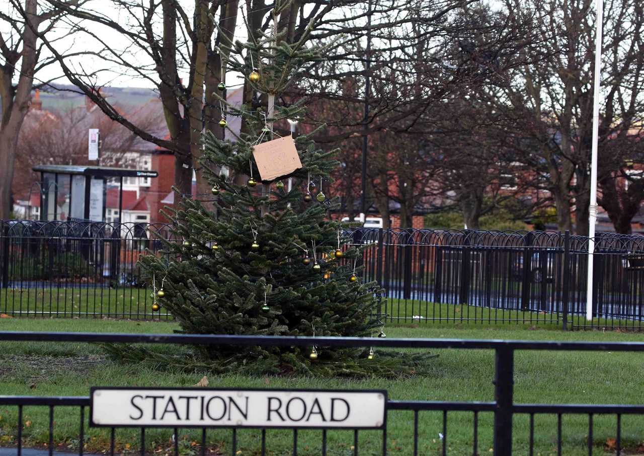 UK’s saddest Xmas tree left turning brown and with no decorations by council