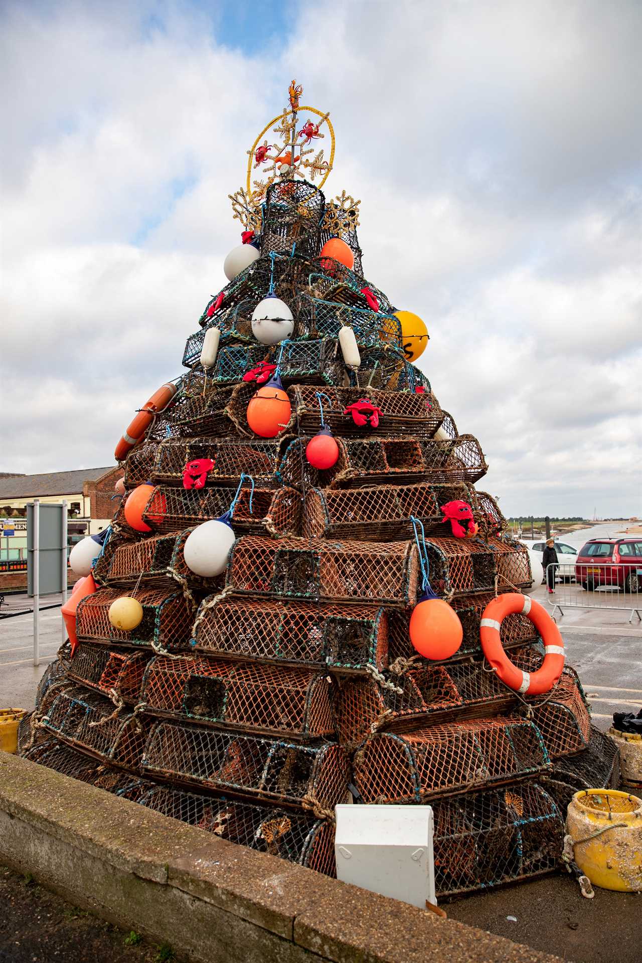 UK’s saddest Xmas tree left turning brown and with no decorations by council