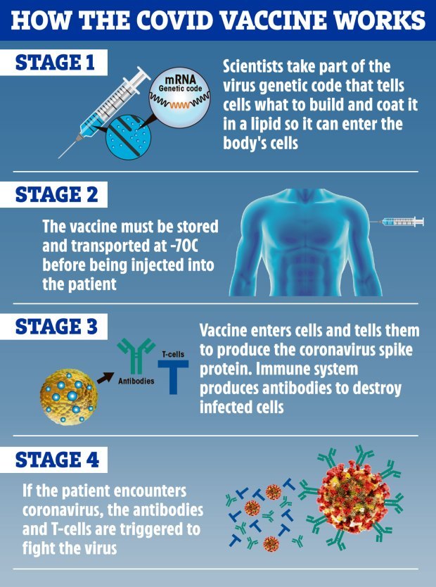 Three-part plan to let YOU know when you’re in line for the Covid vaccine