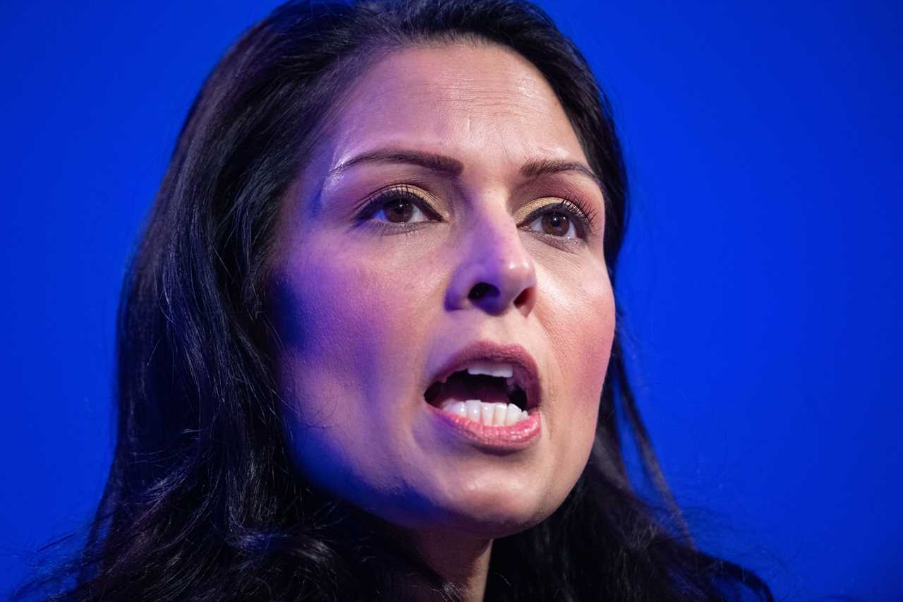 Defiant Priti Patel vows to deport 23 criminals who were let off planes at last moment ‘as soon as possible’