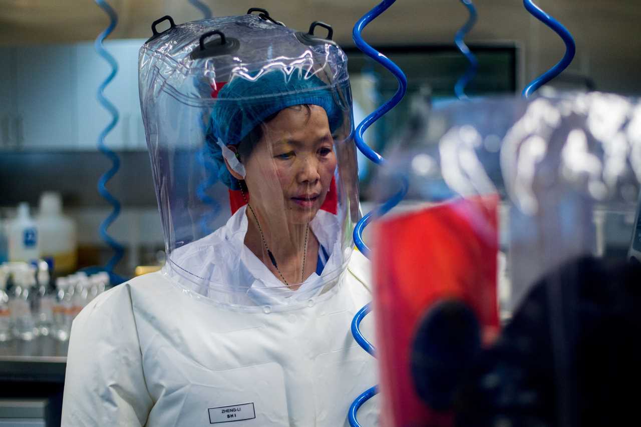 China’s infamous ‘Bat Woman’ scientist warns animals may carry MORE deadly Covid-like viruses that can infect humans