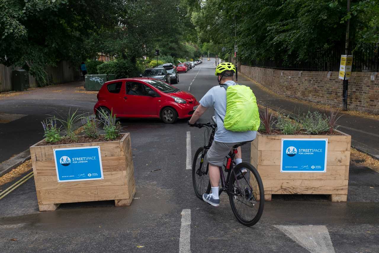 Nigel Farage vows to fight new cycle lanes and road closures causing ‘untold misery’ in £250million ‘green revolution’