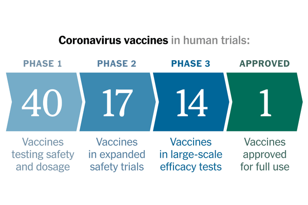 F.D.A. Advisory Panel Gives Green Light to Pfizer Vaccine