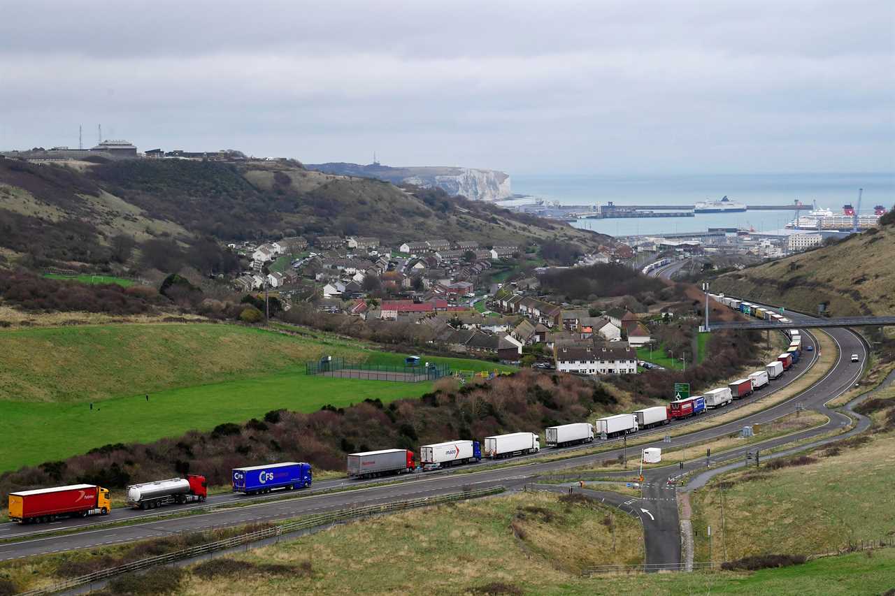 Royal Navy and 900 extra border staff to protect Dover in event of No Deal Brexit