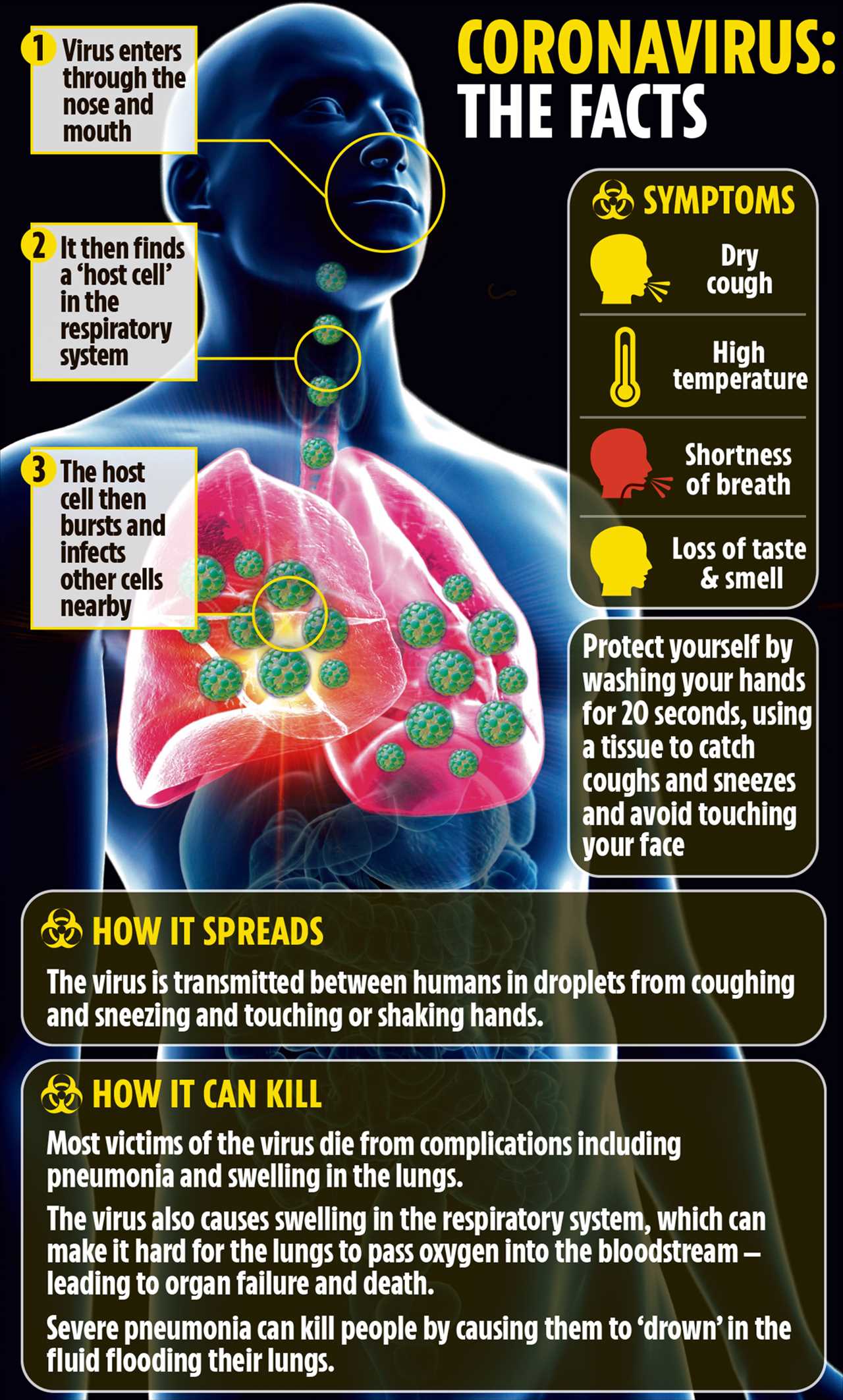 Only one in five catch Covid from a family member – what can you do to reduce the risk?