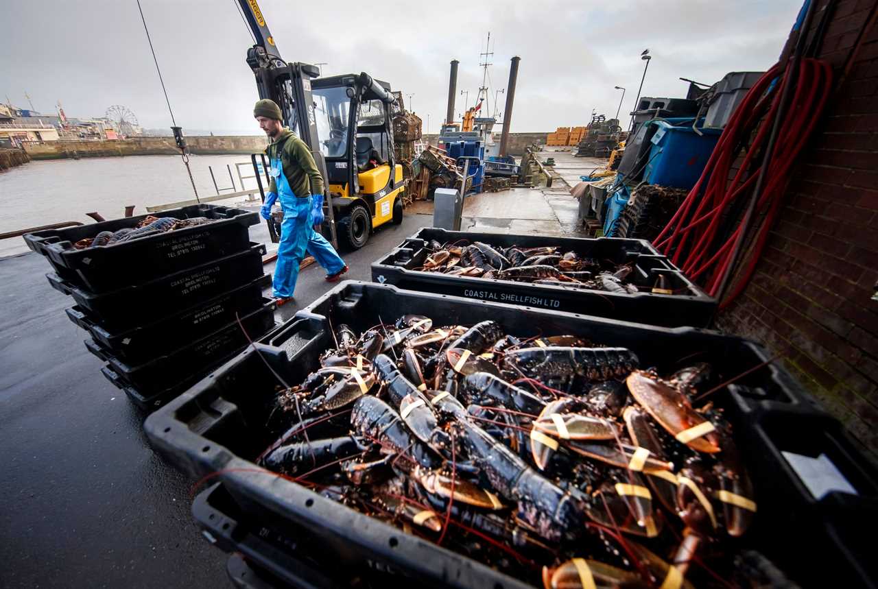 Boris Johnson warns Brussels must get real and see some ‘sense’ on post-Brexit fishing demands