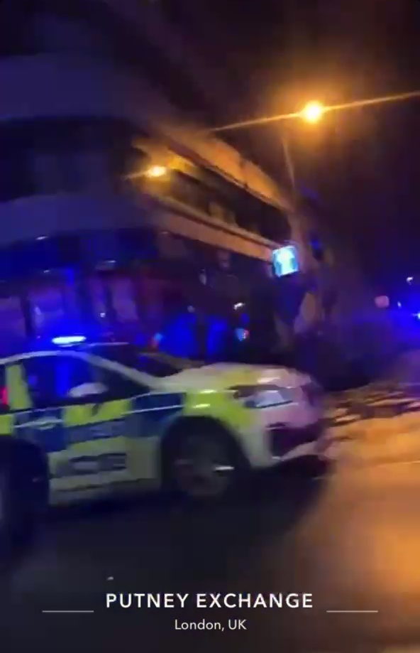 Dozens of police ‘pelted with missiles’ as they break up ‘an illegal rave’ in posh London suburb an hour before lockdown