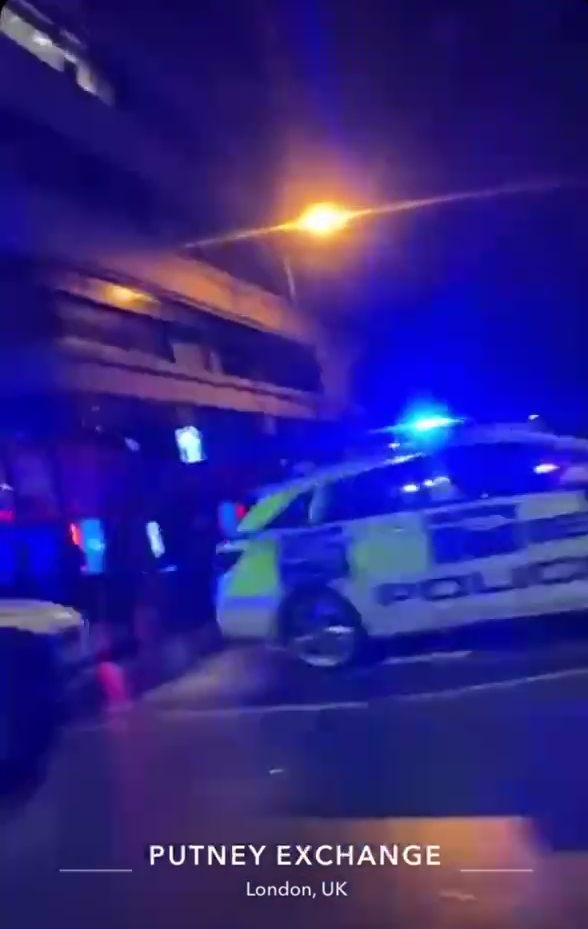 Dozens of police ‘pelted with missiles’ as they break up ‘an illegal rave’ in posh London suburb an hour before lockdown