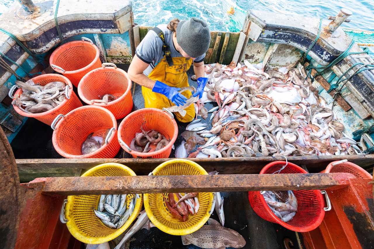 Britain has issued fresh fishing proposals to try to break Brexit deadlock