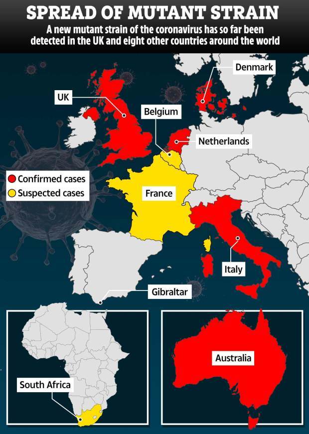 Two cases of South Africa Covid strain in the UK are likely ‘the tip of the iceberg’ and restrictions ‘may be too late’