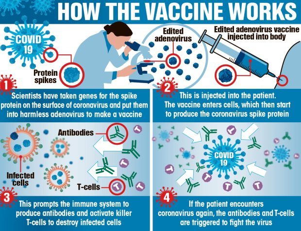 Oxford and Pfizer Covid vaccines CAN be given to pregnant and breastfeeding women, new advice reveals