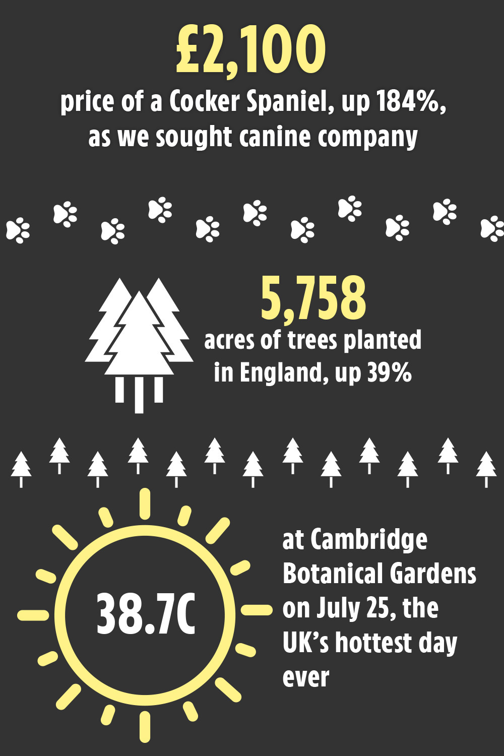 From Covid to shopping — a look back at the astonishing past 12 months in numbers