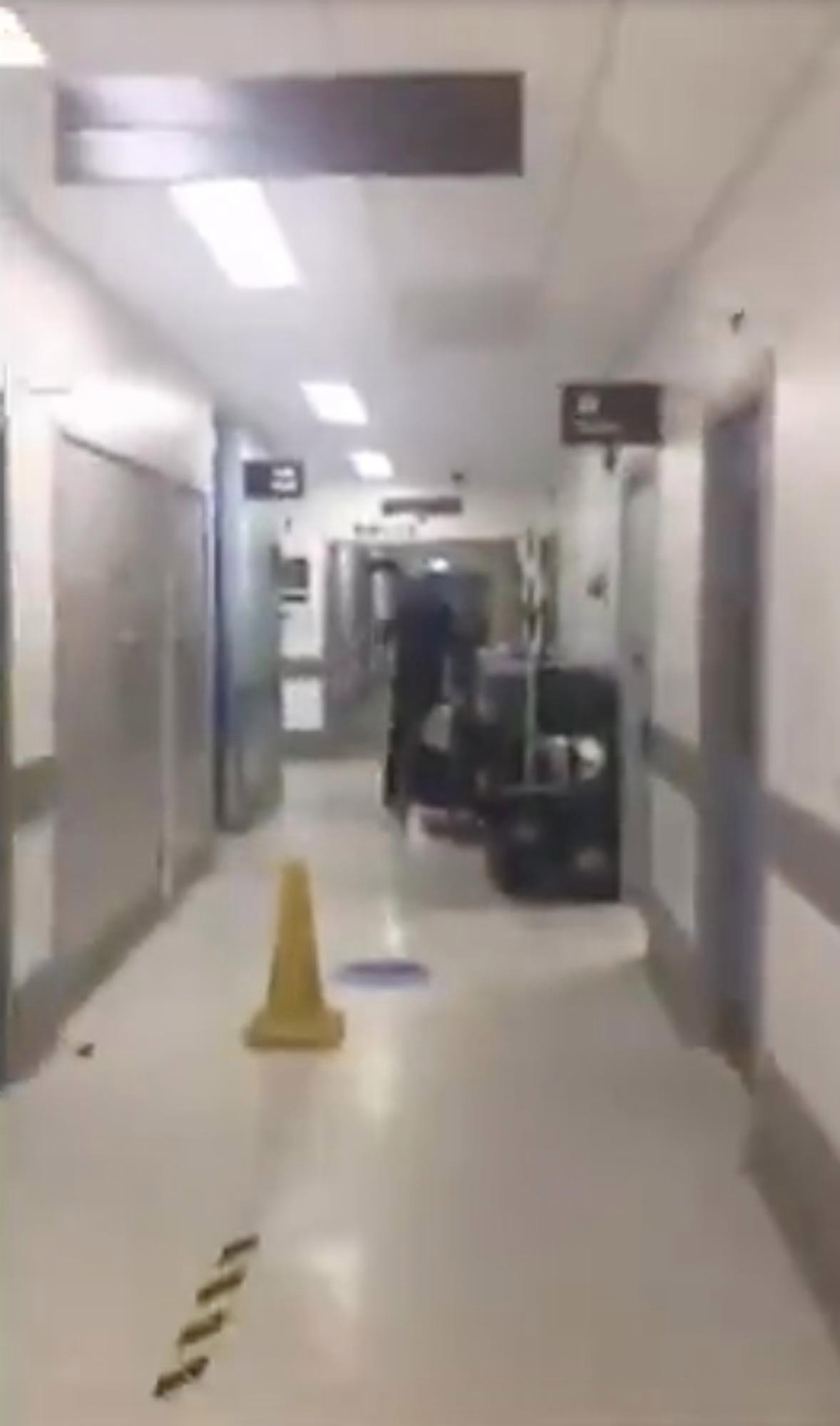 Moment anti-Covid lockdown activist who filmed ’empty’ hospital wards is arrested in her dressing gown