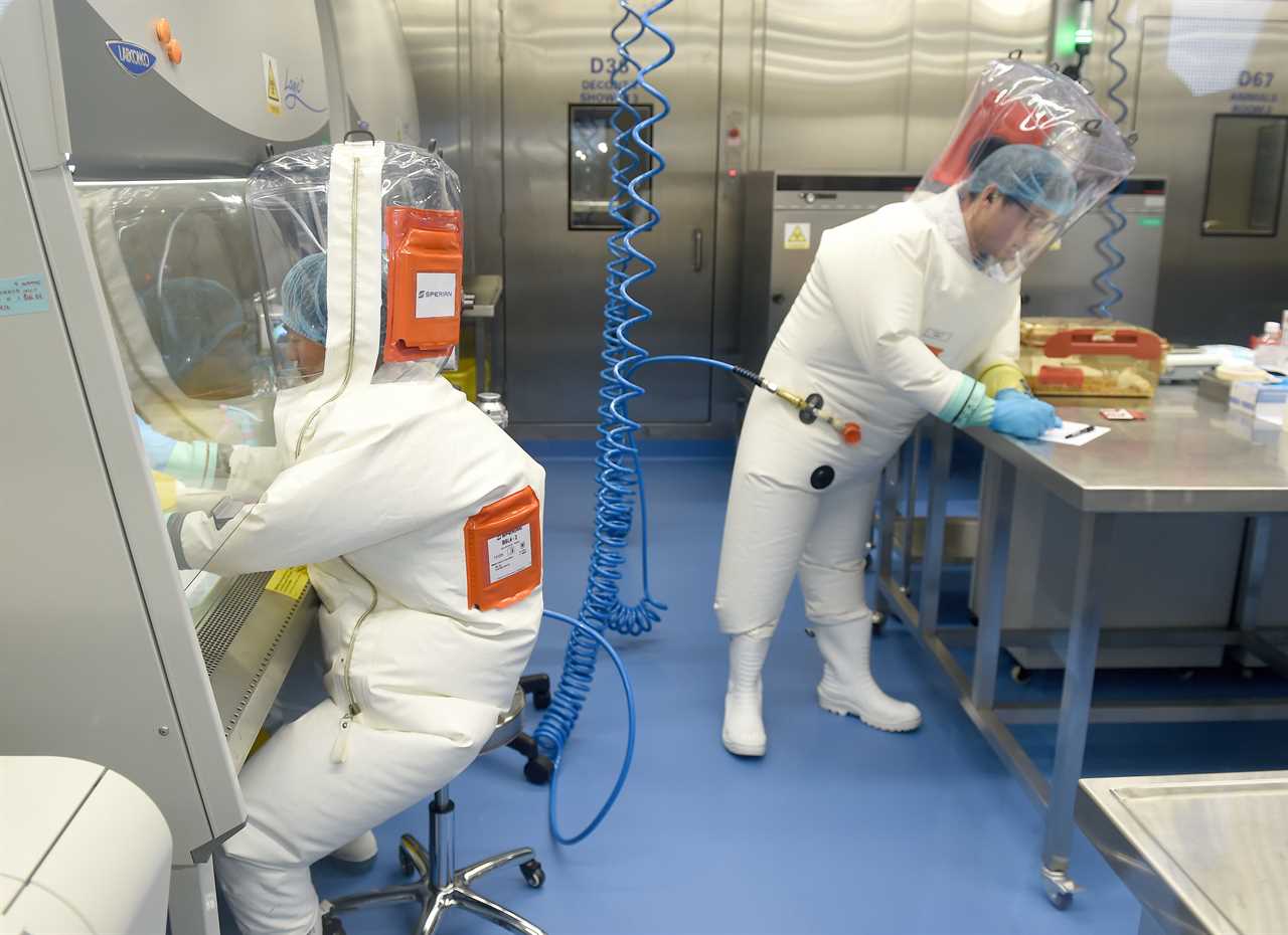 Wuhan lab leak is the ‘most credible’ origin of coronavirus pandemic, top US official says amid ‘whistleblower’ claims