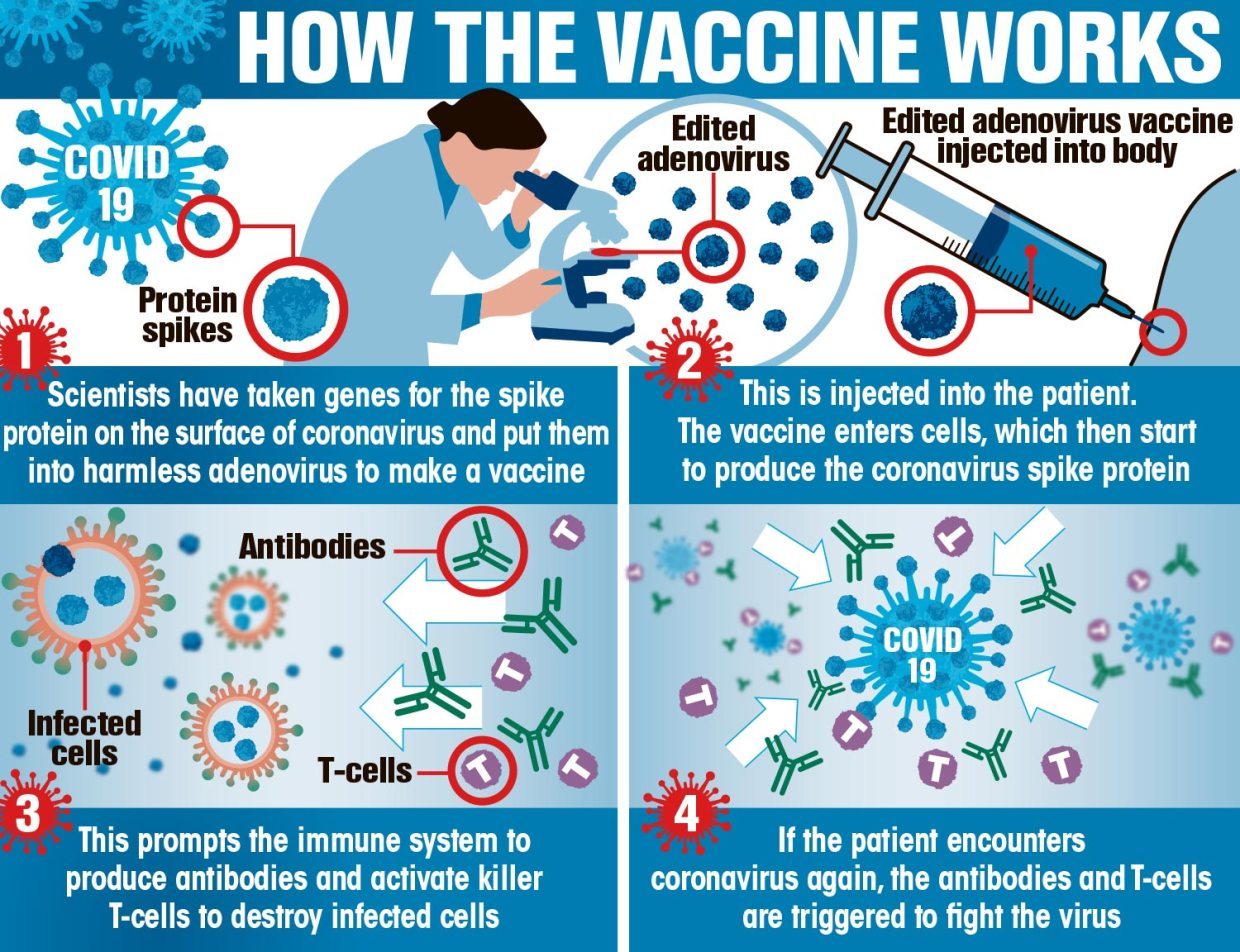 Oxford vaccine vs Pfizer jab difference: Which Covid vaccine is best?