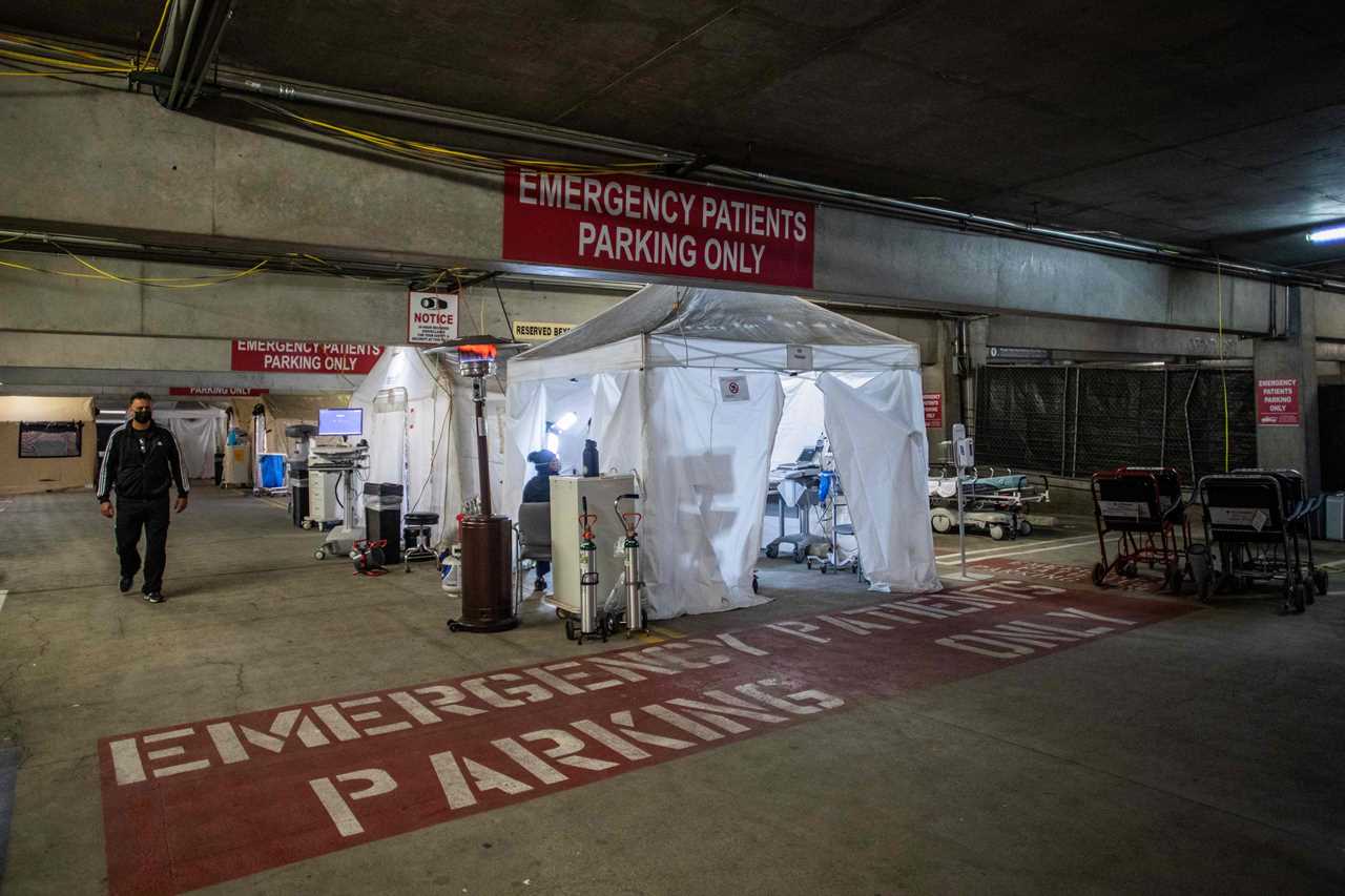 US suffers deadliest week of Covid pandemic with 18,400 killed as shock LA pic shows thousands line up for tests