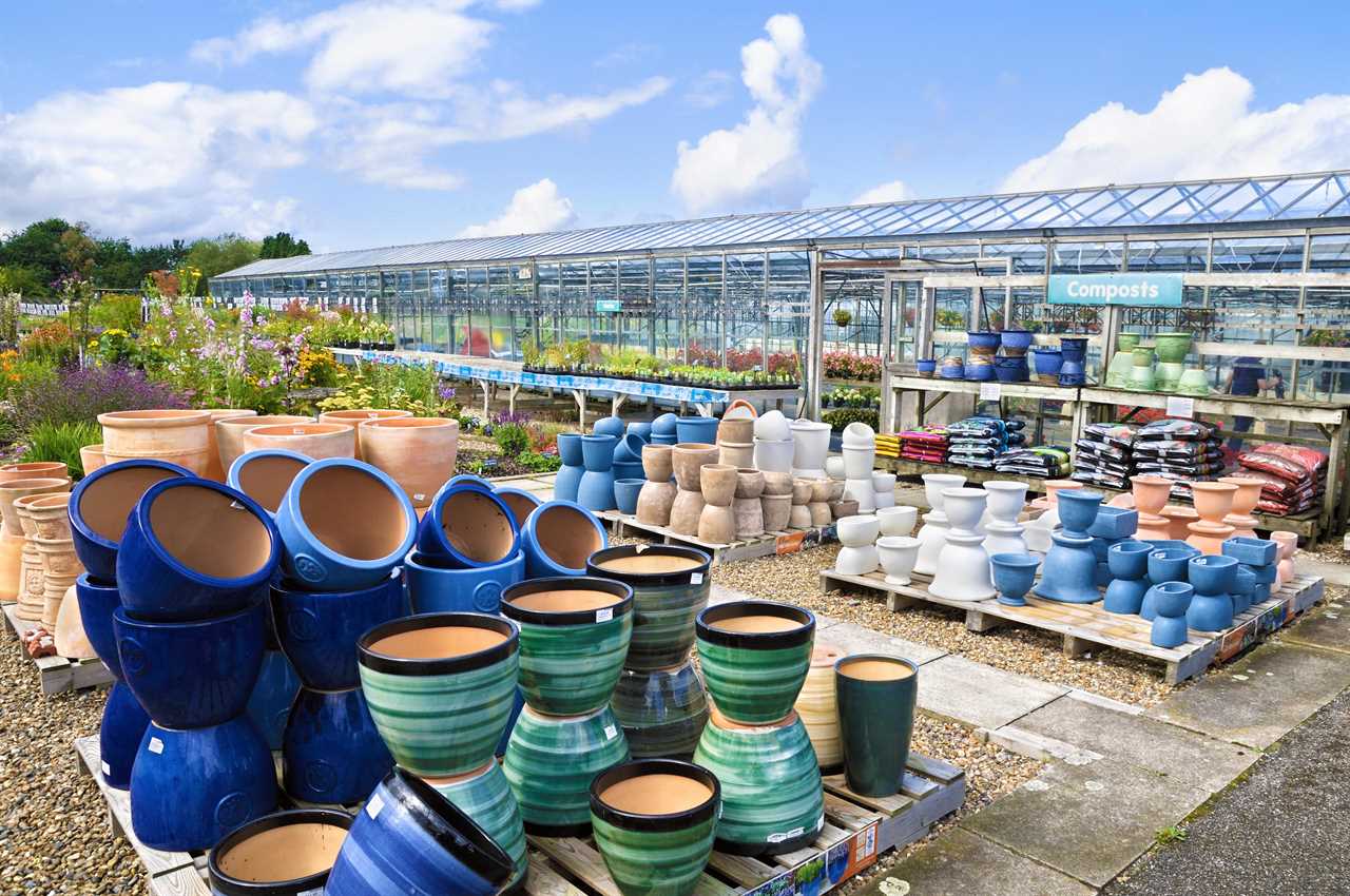 Garden centres could be reopening after Government's review of lockdown measures