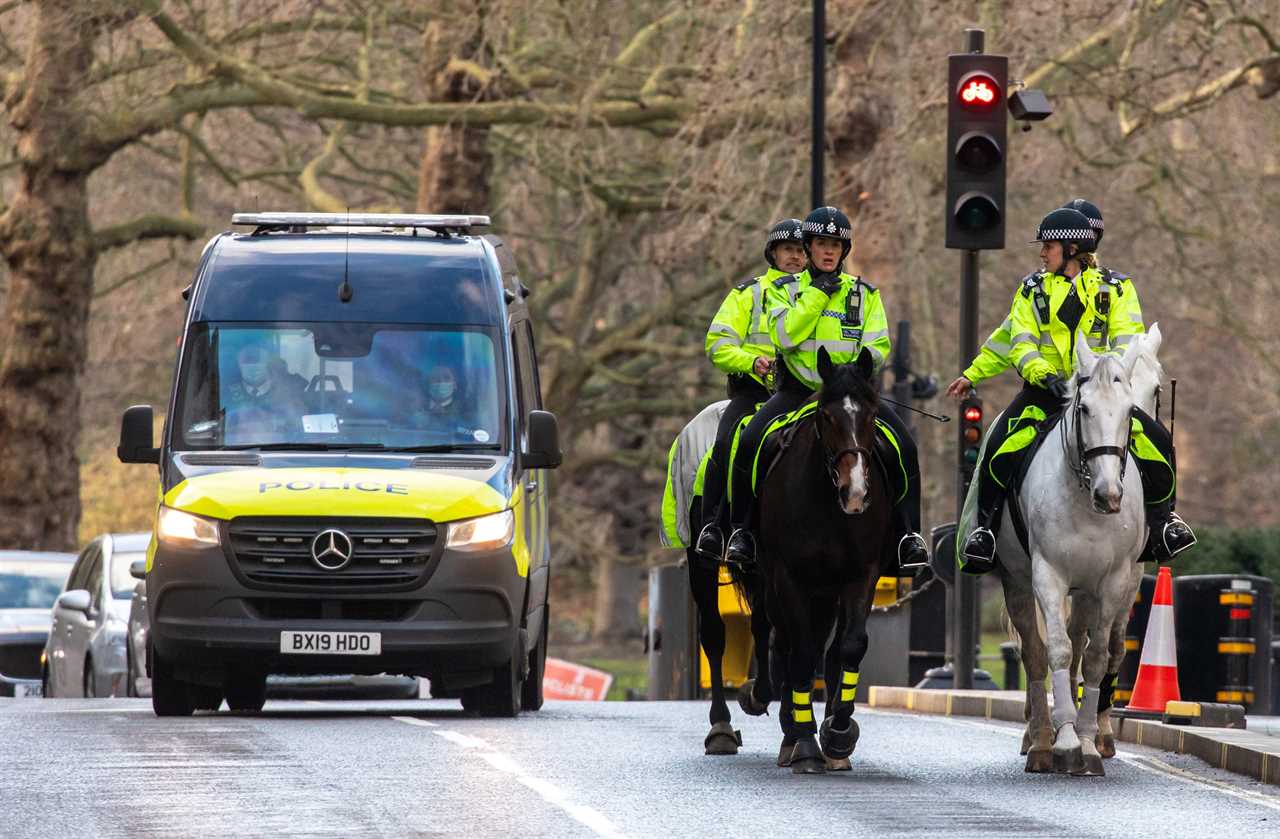 Every cop in England told to fine lockdown flouters £200 if they refuse to go home at FIRST time of asking