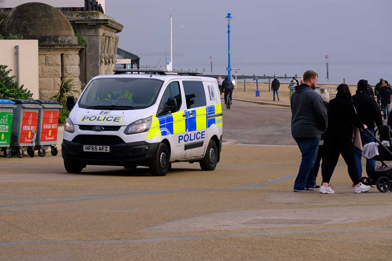 Every cop in England told to fine lockdown flouters £200 if they refuse to go home at FIRST time of asking