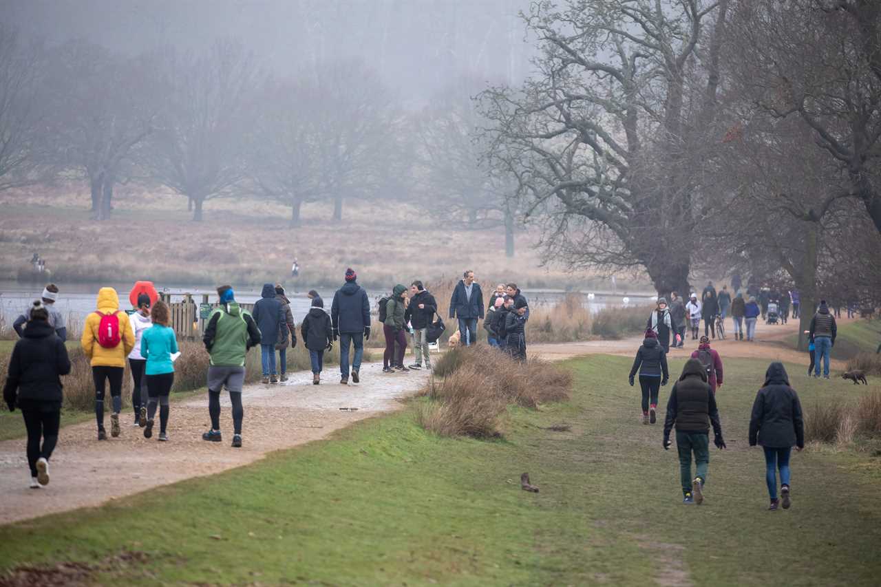 Members of the public enjoying a stroll in a busy Richmond Park in south-west London today