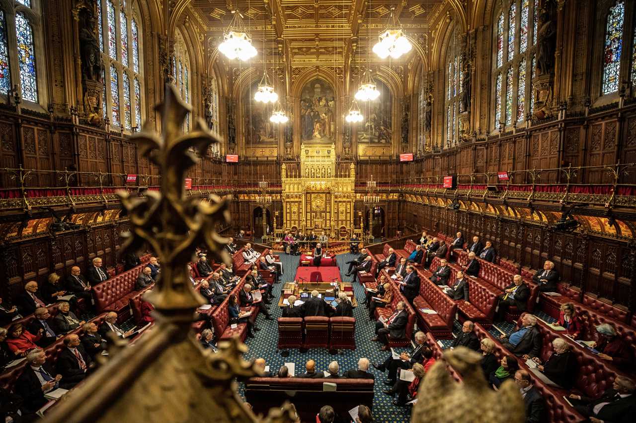 Peers stung taxpayer for nearly £100k of laptops and iPads to work from home