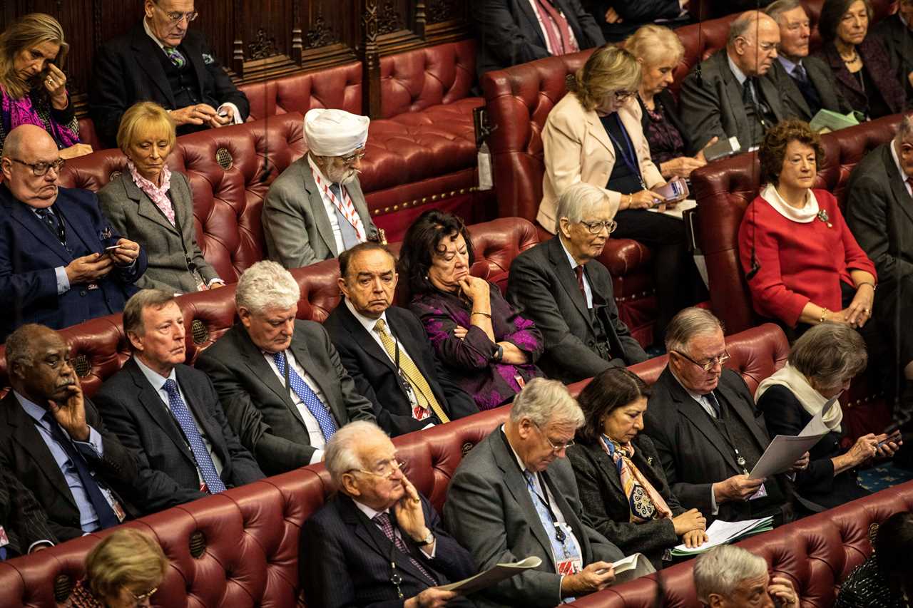 Peers stung taxpayer for nearly £100k of laptops and iPads to work from home