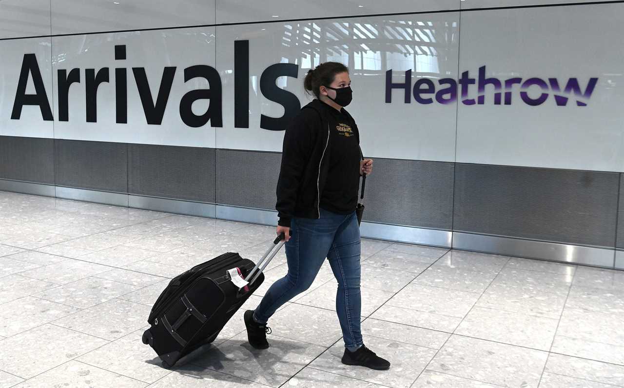 UK arrivals could be forced to pay for two weeks in hotel quarantine to stop new Covid strains spreading